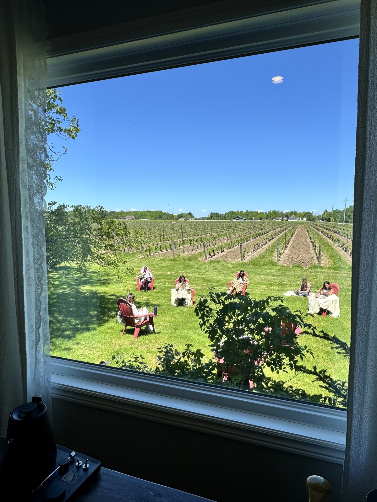 Women seated together in a Niagara-on-the-Lake vineyard